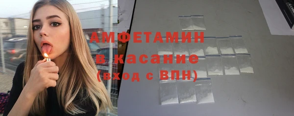 ПСИЛОЦИБИНОВЫЕ ГРИБЫ Богданович